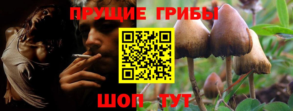 Новочеркасск  Псилоцибиновые грибы мухоморы  как найти закладки  Вход с VPN 